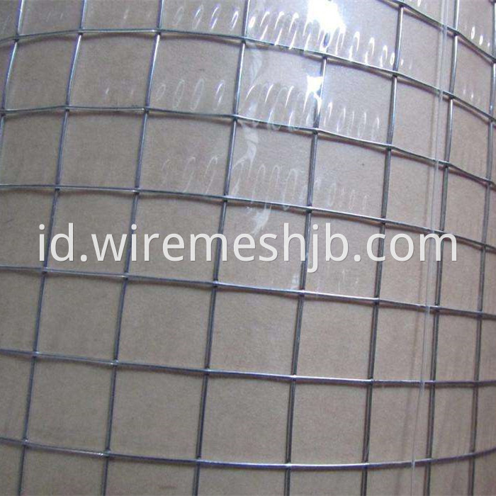 Welded Wire Mesh